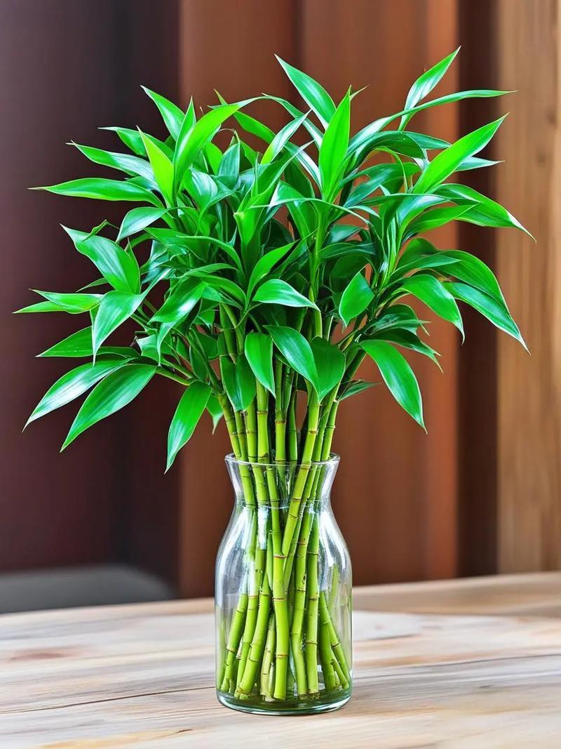 家里客厅养什么绿植好，家里客厅养什么花好呢？-第2张图片-优品飞百科