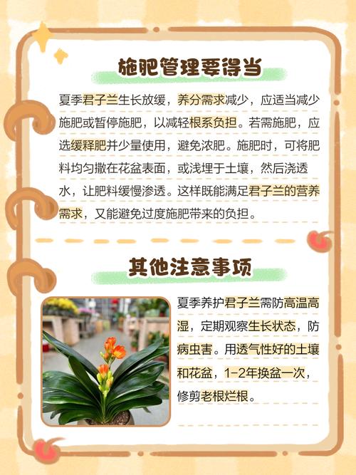 怎么养君子兰比较好？怎么样养植君子兰？-第2张图片-优品飞百科