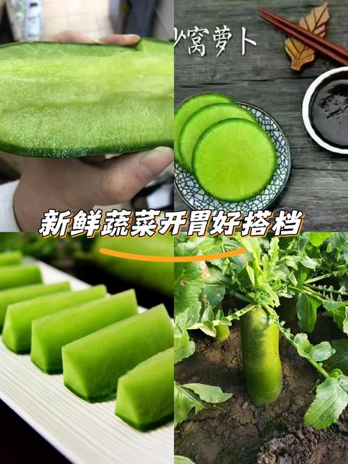 沙窝萝卜几月份上市，几月份种植，沙窝萝卜什么时候收获-第1张图片-优品飞百科