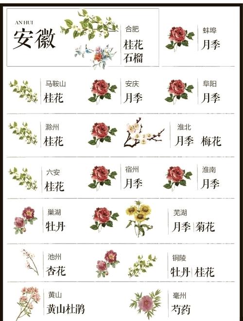 邯郸适合养什么花，市花和市树是什么？邯郸哪里的花好看？-第4张图片-优品飞百科