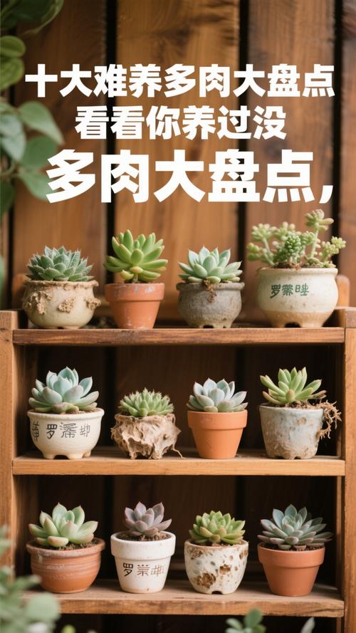 前十难养多肉，多肉哪款最难养？最难养多肉品种？-第1张图片-优品飞百科