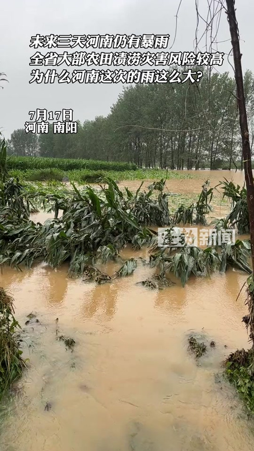 光山天气预报15天？光山天气40天准确？-第2张图片-优品飞百科