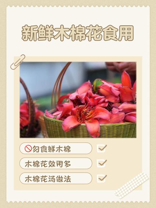木棉花的食用方法，木棉花的食用方法大全-第1张图片-优品飞百科