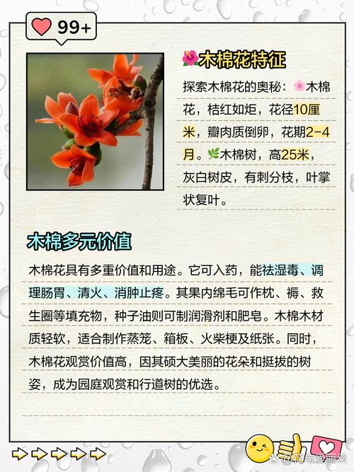 木棉花的食用方法，木棉花的食用方法大全-第3张图片-优品飞百科