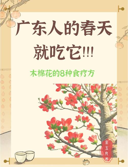 木棉花的食用方法，木棉花的食用方法大全-第4张图片-优品飞百科