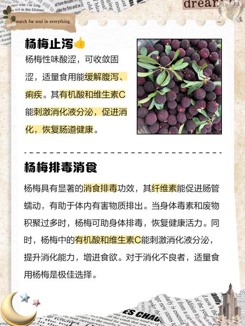 杨梅食用的好处，食用要注意什么，杨梅吃什么作用-第5张图片-优品飞百科