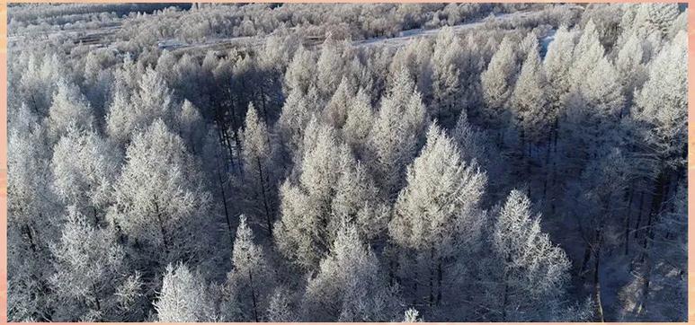 呼市天气预报15天气，呼市天气预报一周的天气？-第2张图片-优品飞百科