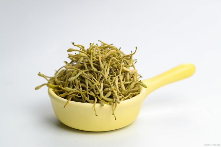 金银花的副作用与禁忌，金银花的功能，金银花的副作用与禁忌症-第2张图片-优品飞百科