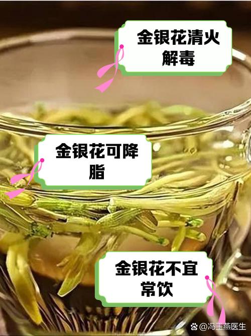 金银花的副作用与禁忌，金银花的功能，金银花的副作用与禁忌症-第7张图片-优品飞百科