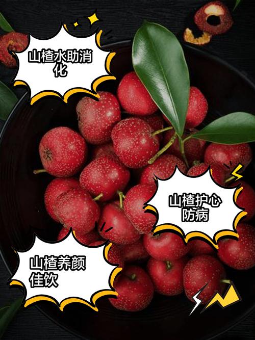 山楂的食用禁忌？山楂的食用禁忌和搭配？