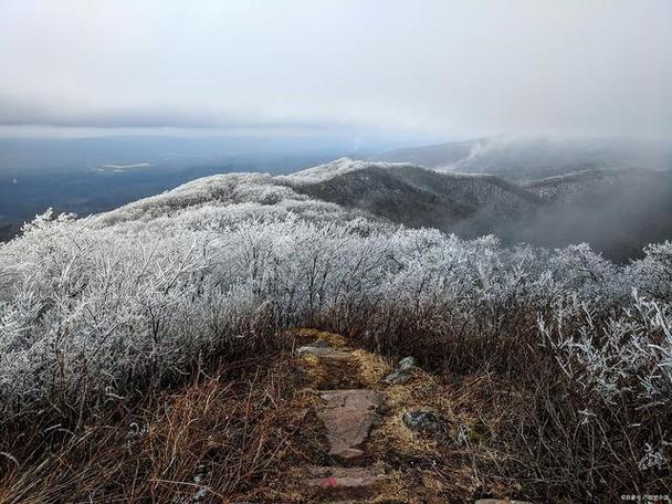 诸暨天气预报30天？诸暨天气预报30天准确 一个月查询？-第2张图片-优品飞百科