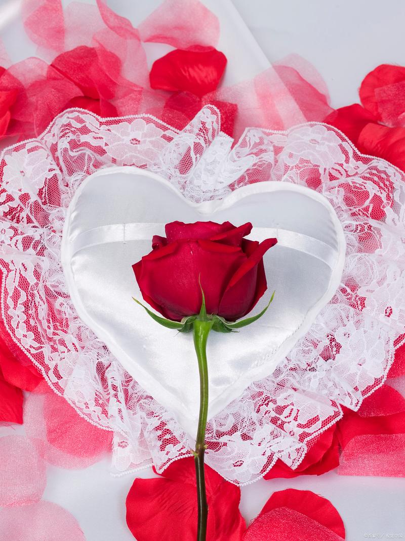 一朵玫瑰花代表什么，一朵玫瑰花代表什么生肖-第6张图片-优品飞百科