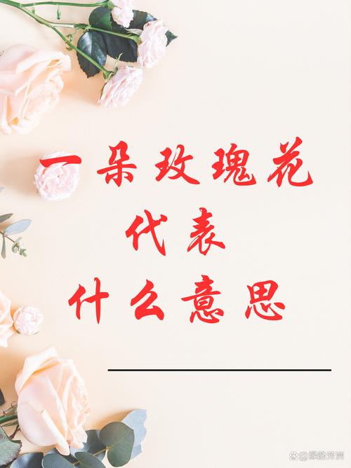 一朵玫瑰花代表什么，一朵玫瑰花代表什么生肖-第8张图片-优品飞百科
