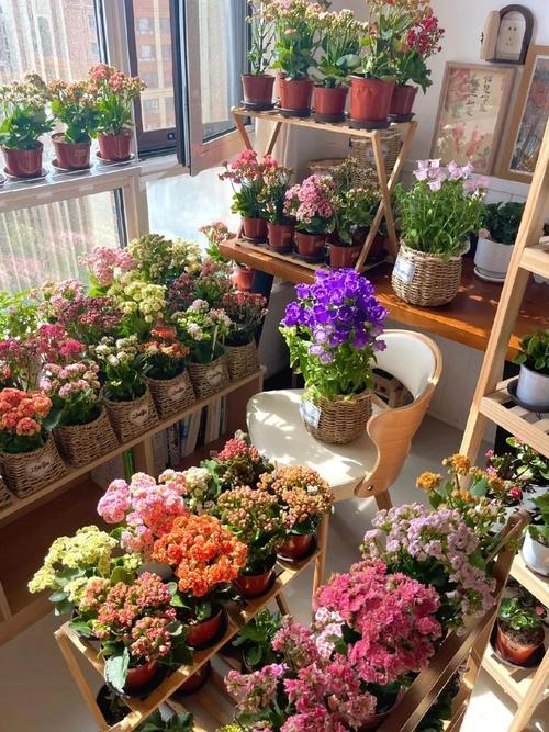 四平适合养什么花，市花和市树是什么，四平花店哪家好？-第3张图片-优品飞百科