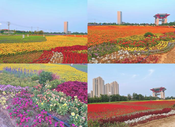 四平适合养什么花，市花和市树是什么，四平花店哪家好？-第5张图片-优品飞百科