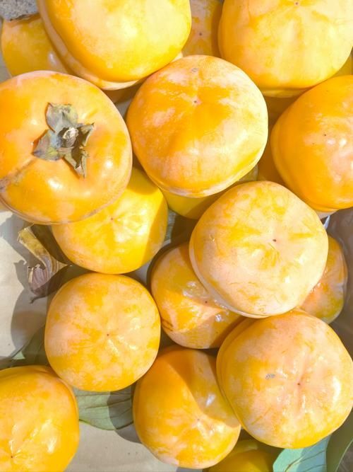 秋天成熟的水果有哪些，南方秋天成熟的水果有哪些？