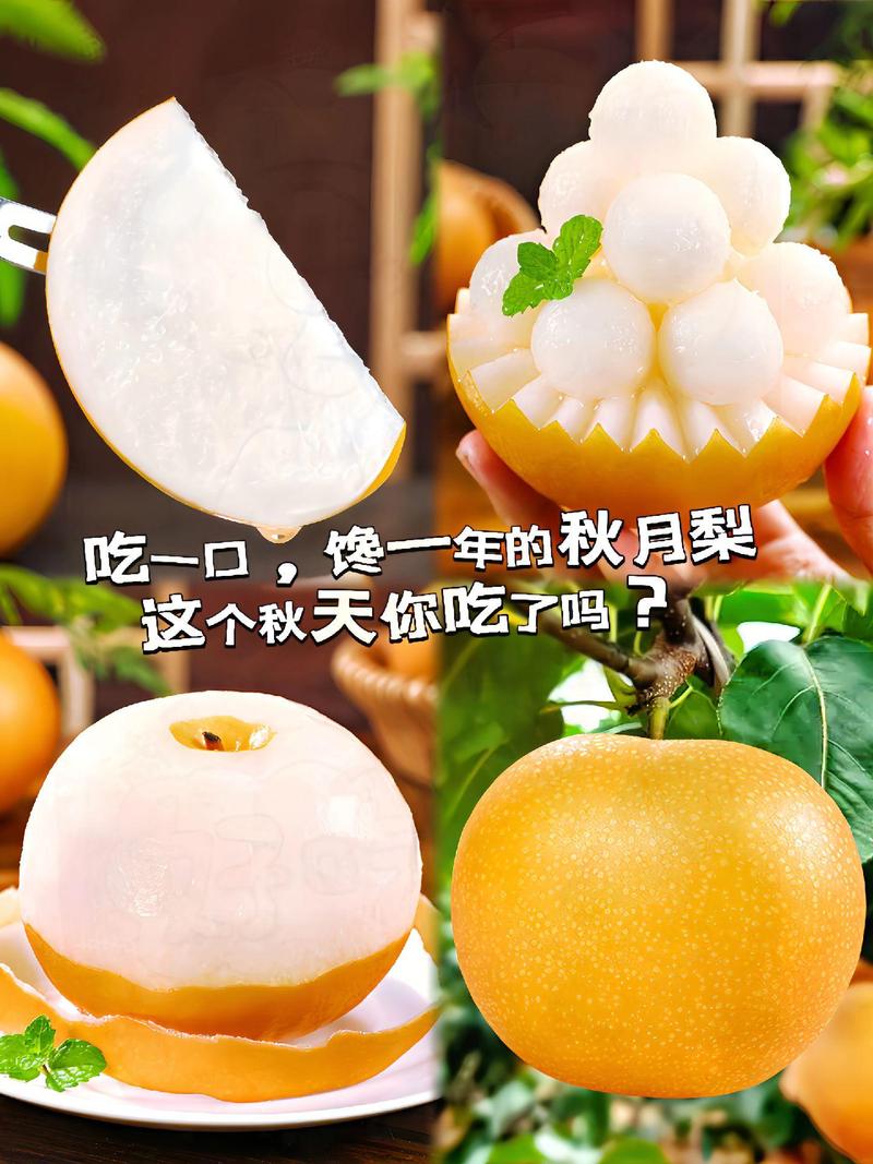 秋天成熟的水果有哪些,南方秋天成熟的水果有哪些?-第4张图片-优品飞百科 秋天成熟的水果有哪些,南方秋天成熟的水果有哪些?-第4张图片-优品飞百科