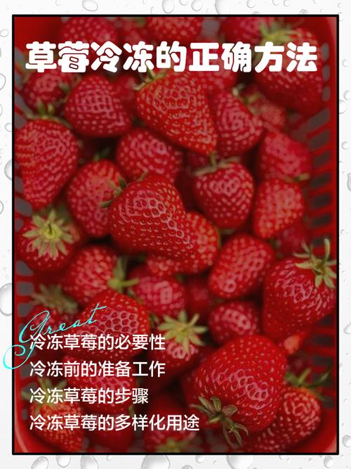 草莓怎么洗才干净，能放冰箱保存吗？草莓怎么洗才放心吃？-第1张图片-优品飞百科