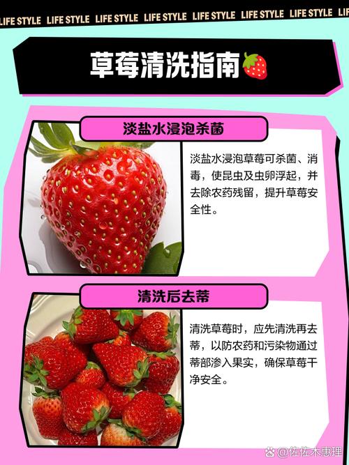 草莓怎么洗才干净，能放冰箱保存吗？草莓怎么洗才放心吃？-第2张图片-优品飞百科