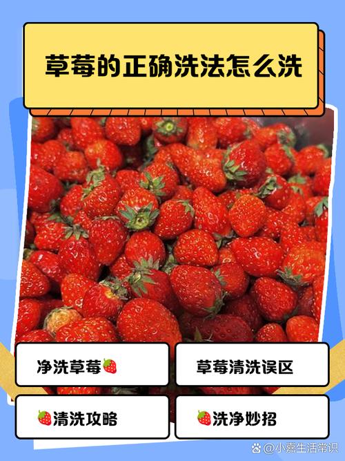 草莓怎么洗才干净，能放冰箱保存吗？草莓怎么洗才放心吃？-第5张图片-优品飞百科