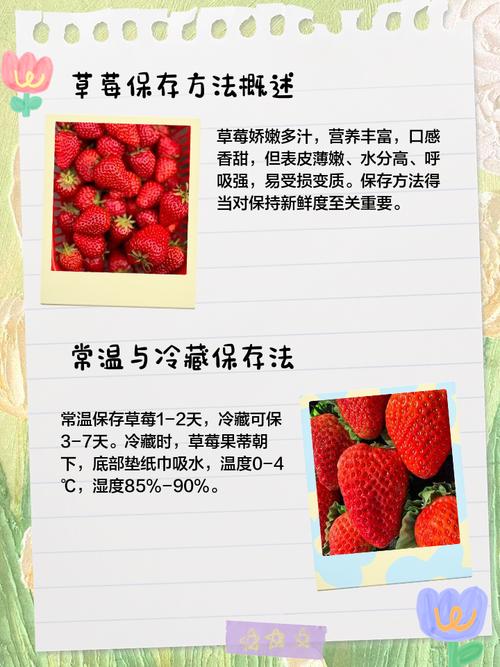 草莓怎么洗才干净，能放冰箱保存吗？草莓怎么洗才放心吃？-第6张图片-优品飞百科