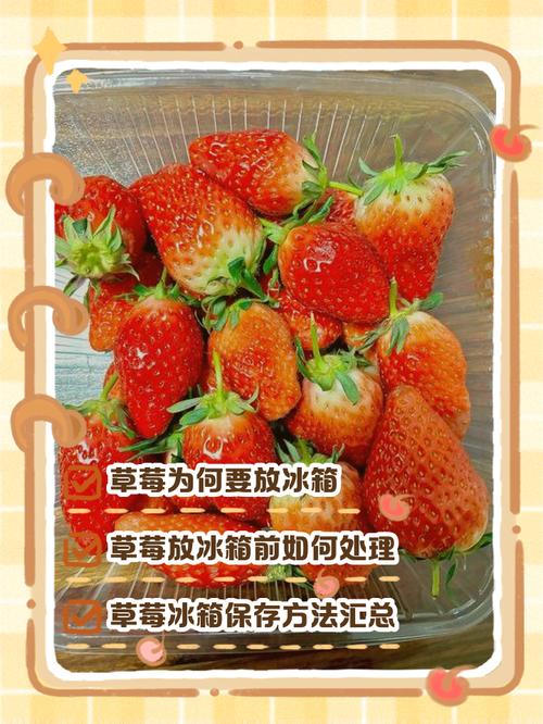 草莓怎么洗才干净，能放冰箱保存吗？草莓怎么洗才放心吃？-第7张图片-优品飞百科