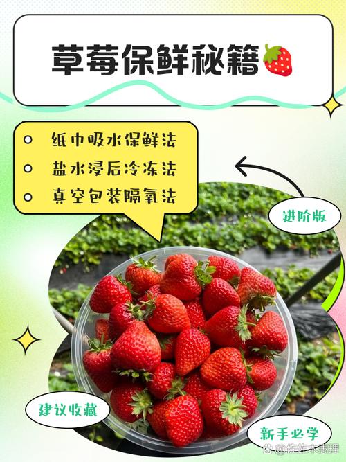 草莓怎么洗才干净，能放冰箱保存吗？草莓怎么洗才放心吃？-第8张图片-优品飞百科