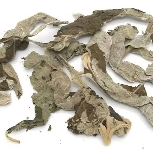 老鸦糊的主要价值，老鸭糊功效与作用？-第6张图片-优品飞百科