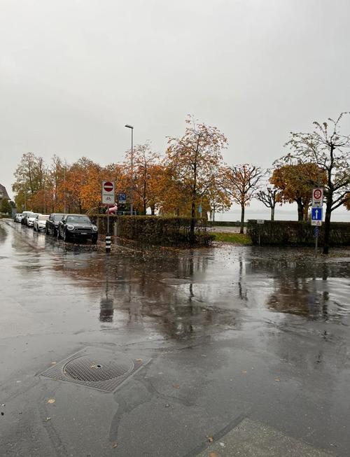 日内瓦天气预报，明天日内瓦天气预报-第4张图片-优品飞百科