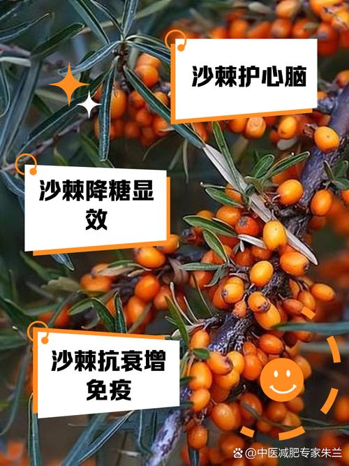 沙棘是什么,沙棘果怎么吃,沙棘果是什么作用-第1张图片-优品飞百科 沙棘是什么,沙棘果怎么吃,沙棘果是什么作用-第1张图片-优品飞百科