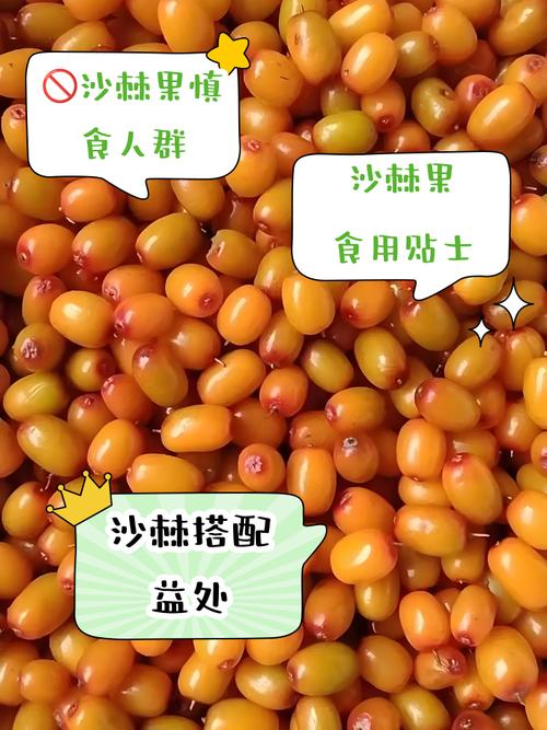 沙棘是什么,沙棘果怎么吃,沙棘果是什么作用-第2张图片-优品飞百科 沙棘是什么,沙棘果怎么吃,沙棘果是什么作用-第2张图片-优品飞百科