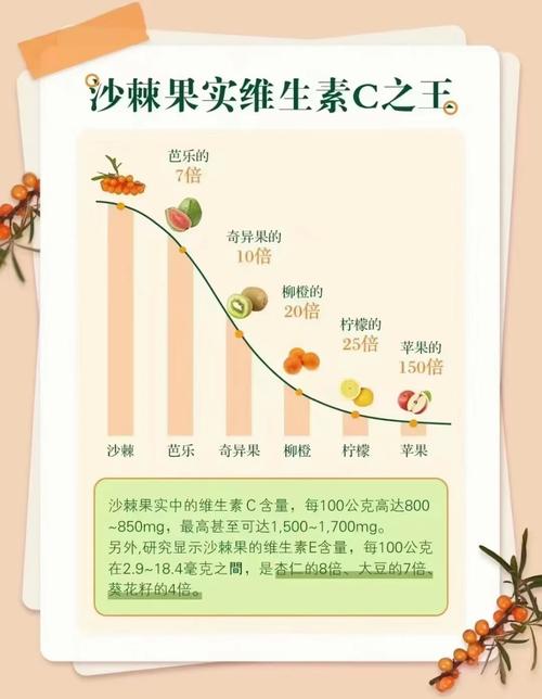 沙棘是什么,沙棘果怎么吃,沙棘果是什么作用-第4张图片-优品飞百科 沙棘是什么,沙棘果怎么吃,沙棘果是什么作用-第4张图片-优品飞百科