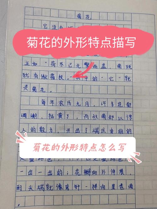 菊花的特点是什么，菊花的形状，菊花的特点有哪些?？