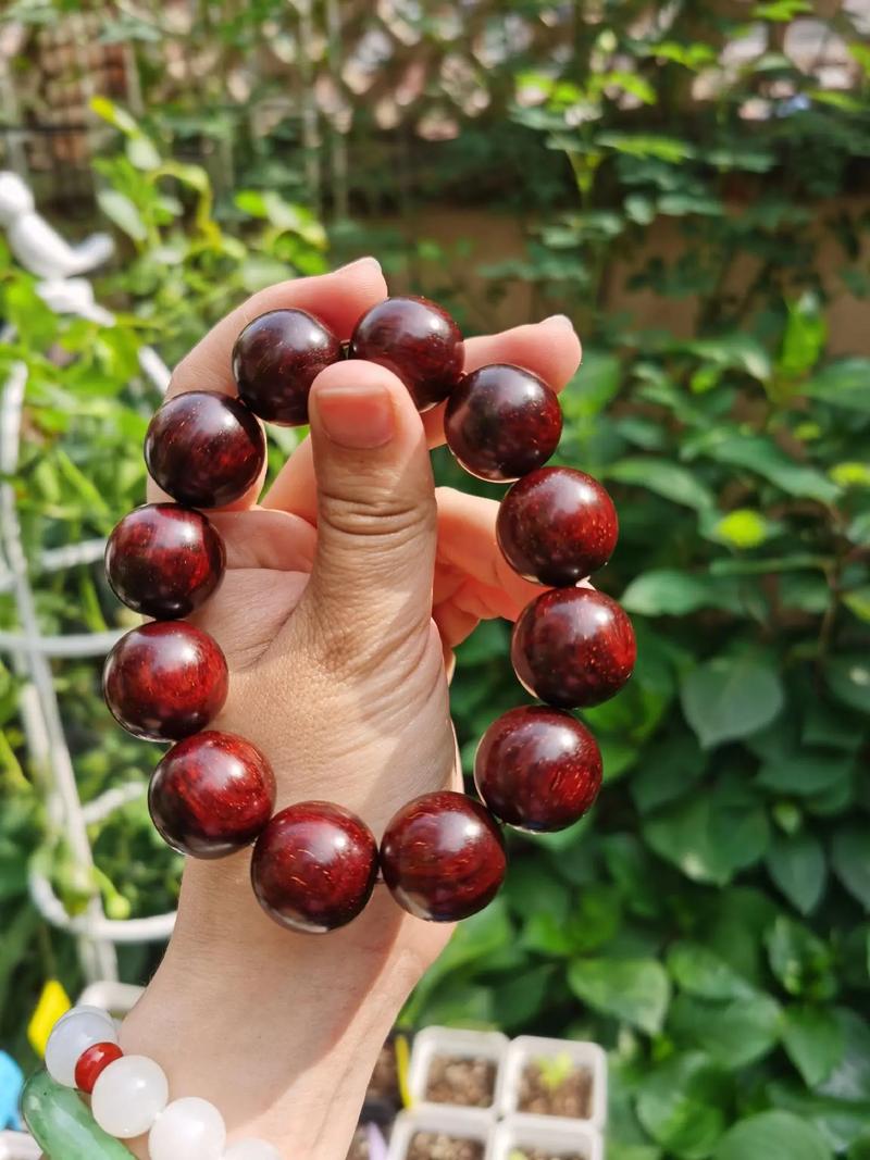 小叶紫檀多少钱，小叶紫檀树图片的简单介绍-第1张图片-优品飞百科