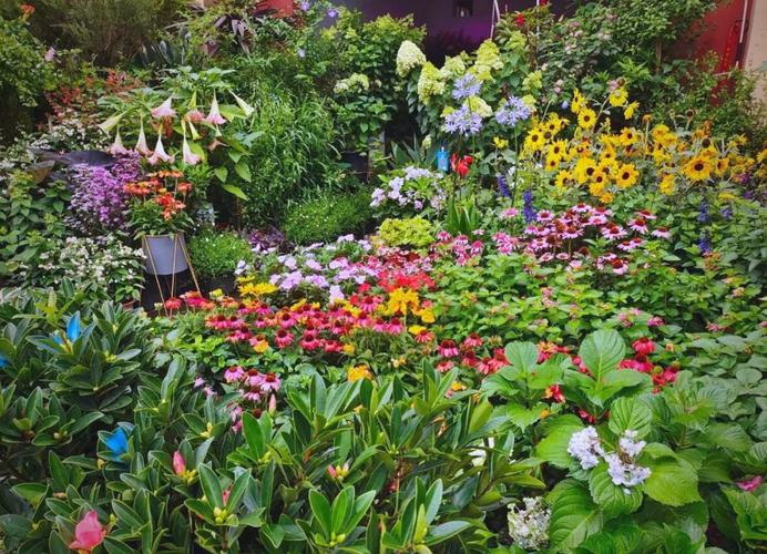 永州适合养什么花，市花和市树是什么，永州花卉苗木种植基地？-第8张图片-优品飞百科