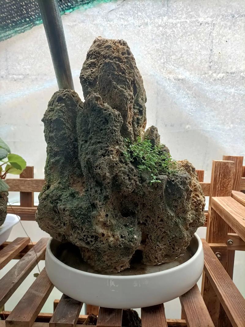 假山盆景室内摆放禁忌,假山盆景适合摆放院子里的哪个方位?-第7张图片-优品飞百科 假山盆景室内摆放禁忌,假山盆景适合摆放院子里的哪个方位?-第7张图片-优品飞百科