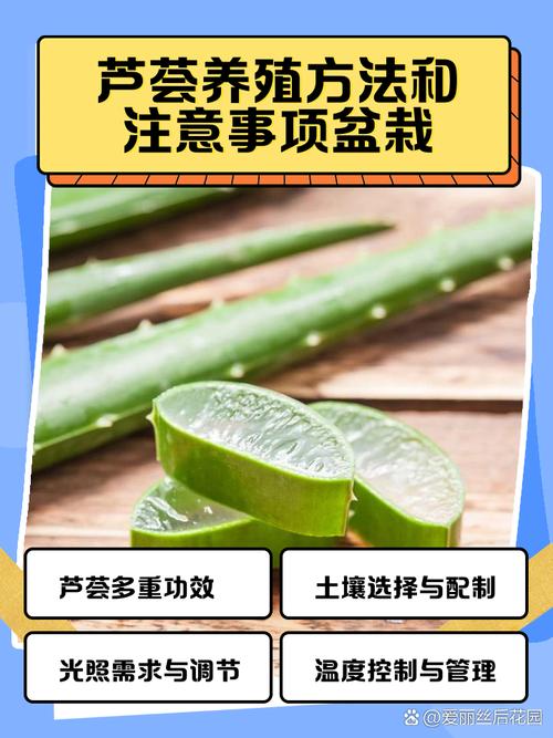 芦荟的做法有哪些，所有芦荟都能吃吗，芦荟的做法大全视频-第4张图片-优品飞百科
