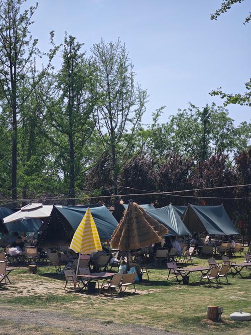 商丘柘城县天气预报，商丘柘城县天气预报15天查询？