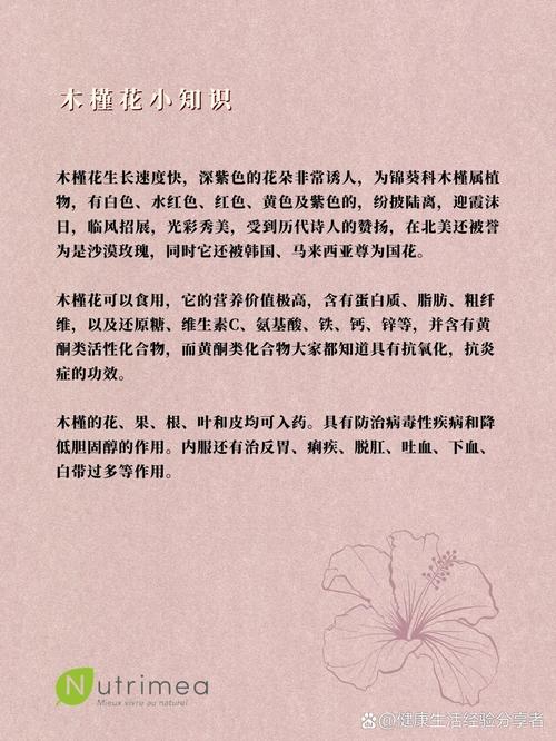 木槿花怎么吃，木槿花怎么吃效果比较好-第7张图片-优品飞百科
