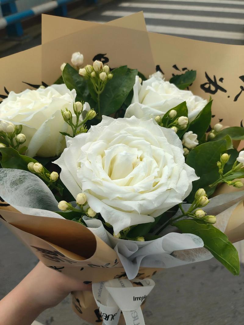 茉莉花的花语，茉莉花可以送人吗？茉莉花可以送人吗?？