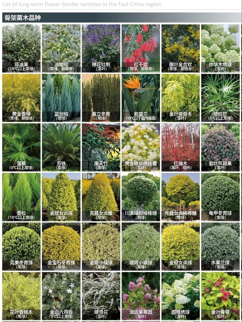 园林绿化常用花卉20种，园林绿化的花有哪些-第1张图片-优品飞百科