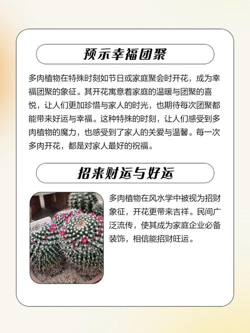 多肉开花预示着什么?多肉开花预兆?-第2张图片-优品飞百科 多肉开花预示着什么?多肉开花预兆?-第2张图片-优品飞百科