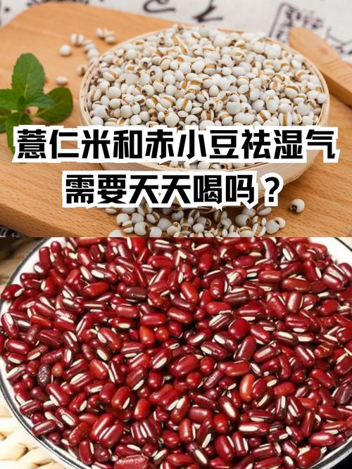赤小豆和红豆的区别，哪个祛湿效果好，红豆和赤小豆哪个去湿气效果比较好?-第2张图片-优品飞百科
