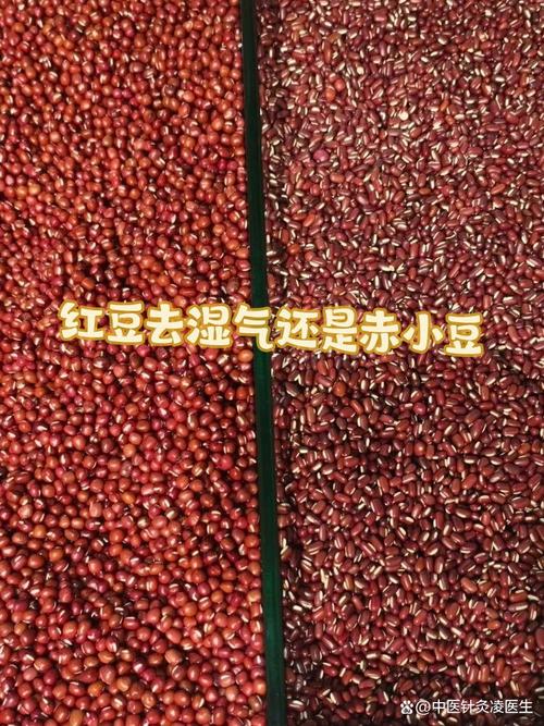 赤小豆和红豆的区别，哪个祛湿效果好，红豆和赤小豆哪个去湿气效果比较好?-第5张图片-优品飞百科