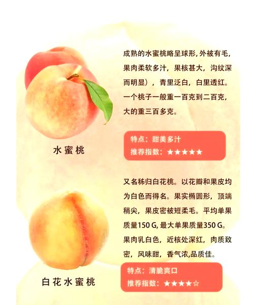 春天植物的变化，春天植物的变化三年级作文-第6张图片-优品飞百科