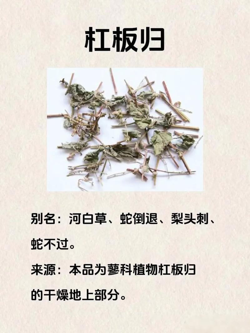杠板归的养殖方法？杠板归的食用方法？-第3张图片-优品飞百科