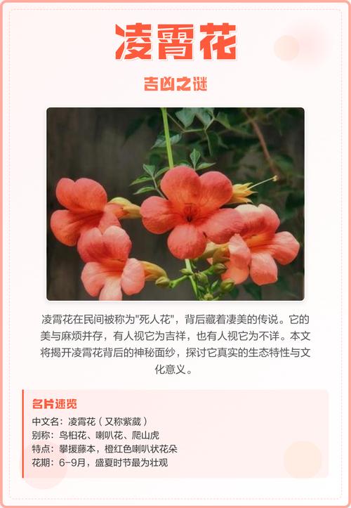 家里养凌霄花有哪些好处？家里养凌霄花的风水？-第6张图片-优品飞百科