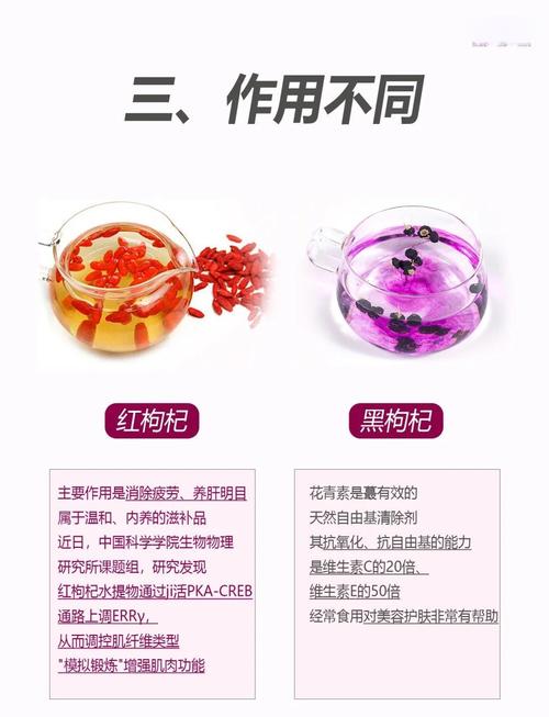 枸杞子的功效与作用，枸杞子泡水喝的功效？枸杞的功效和作用禁忌什么泡水比较好？-第4张图片-优品飞百科