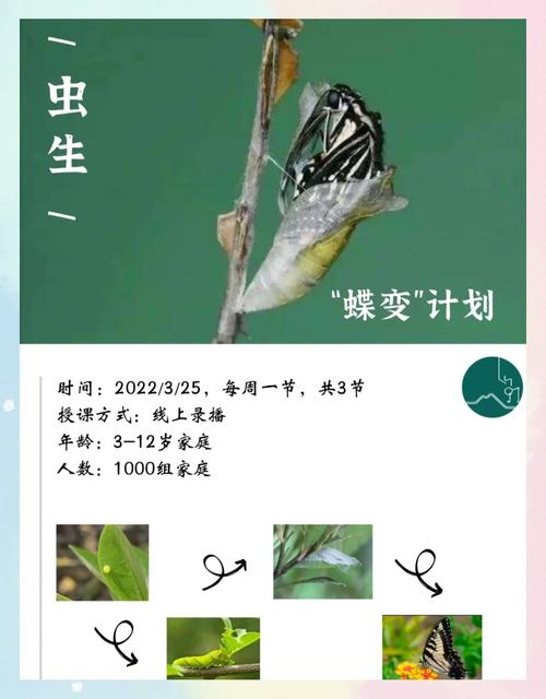 蝙蝠葛的养殖方法，蝙蝠葛盆景？-第2张图片-优品飞百科