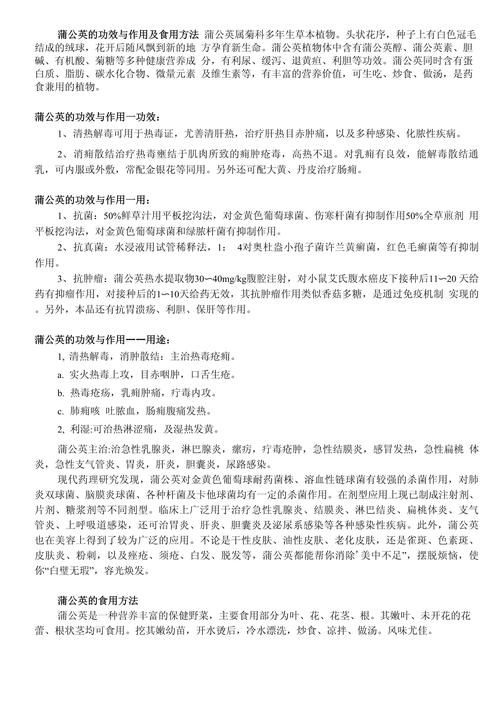 蒲公英的禁忌，蒲公英的副作用，蒲公英的禁忌,蒲公英的副作用有哪些-第4张图片-优品飞百科